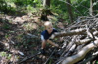 dsc_6895.jpg Devin loved going through the woods.