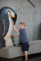 dsc_1441.jpg At the New England Aquarium, Devin's first visit.