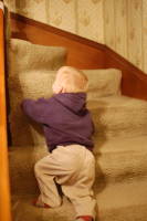 dsc_4294.jpg Devin loves climbing all the stairs in the New England houses.