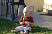 dsc_5576.jpg The boys love popsicles in the back yard.